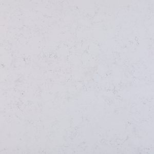 carrara giotto