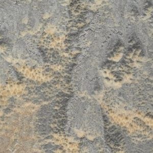 meteorite